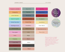 Load image into Gallery viewer, Acrylic party sign | Retro vintage bridal | Modern pink birthday sign | Birthday welcome Sign |